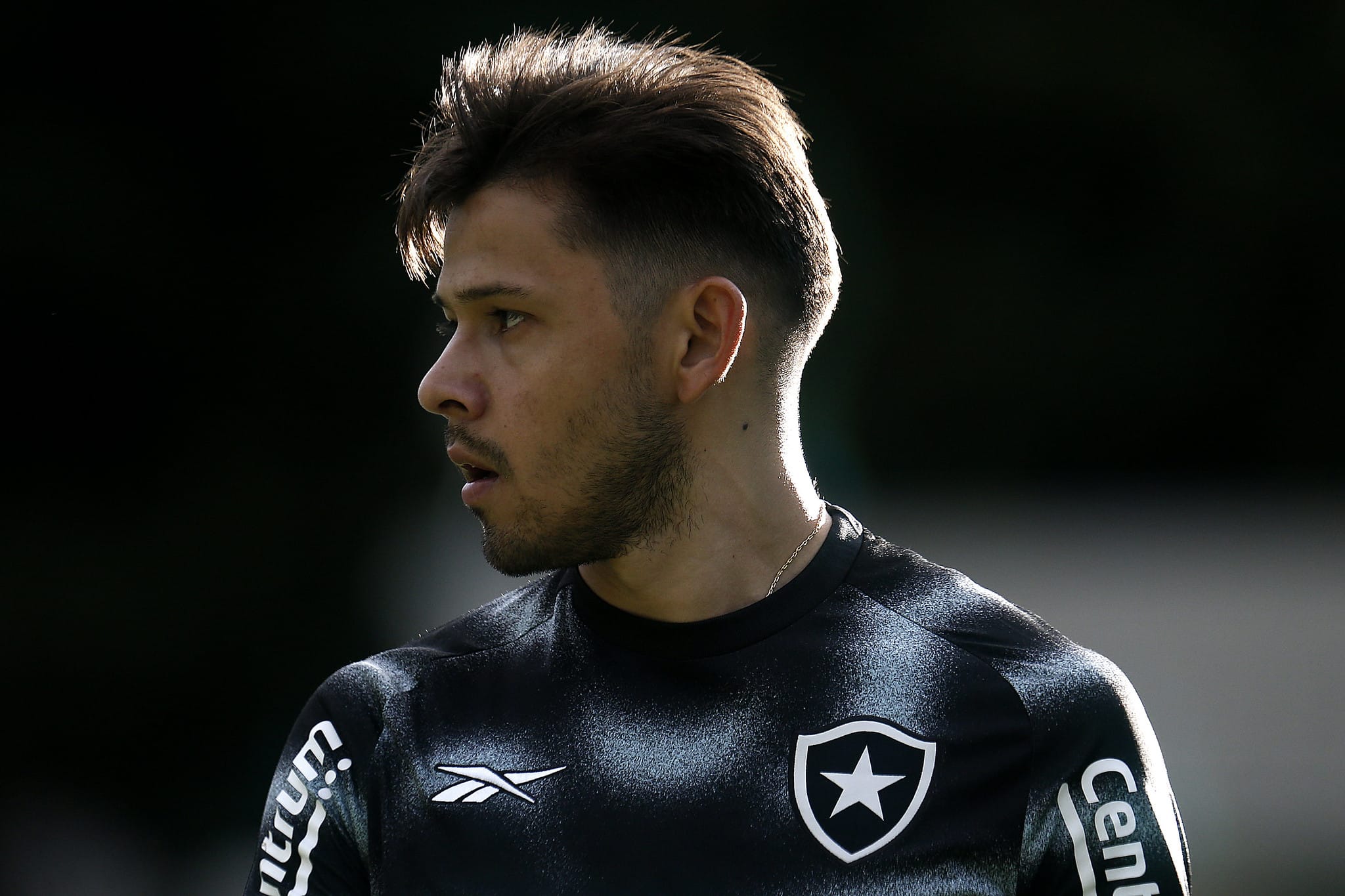 Botafogo afasta Romero e Hernández por desobediência, e reintegra volante ao elenco