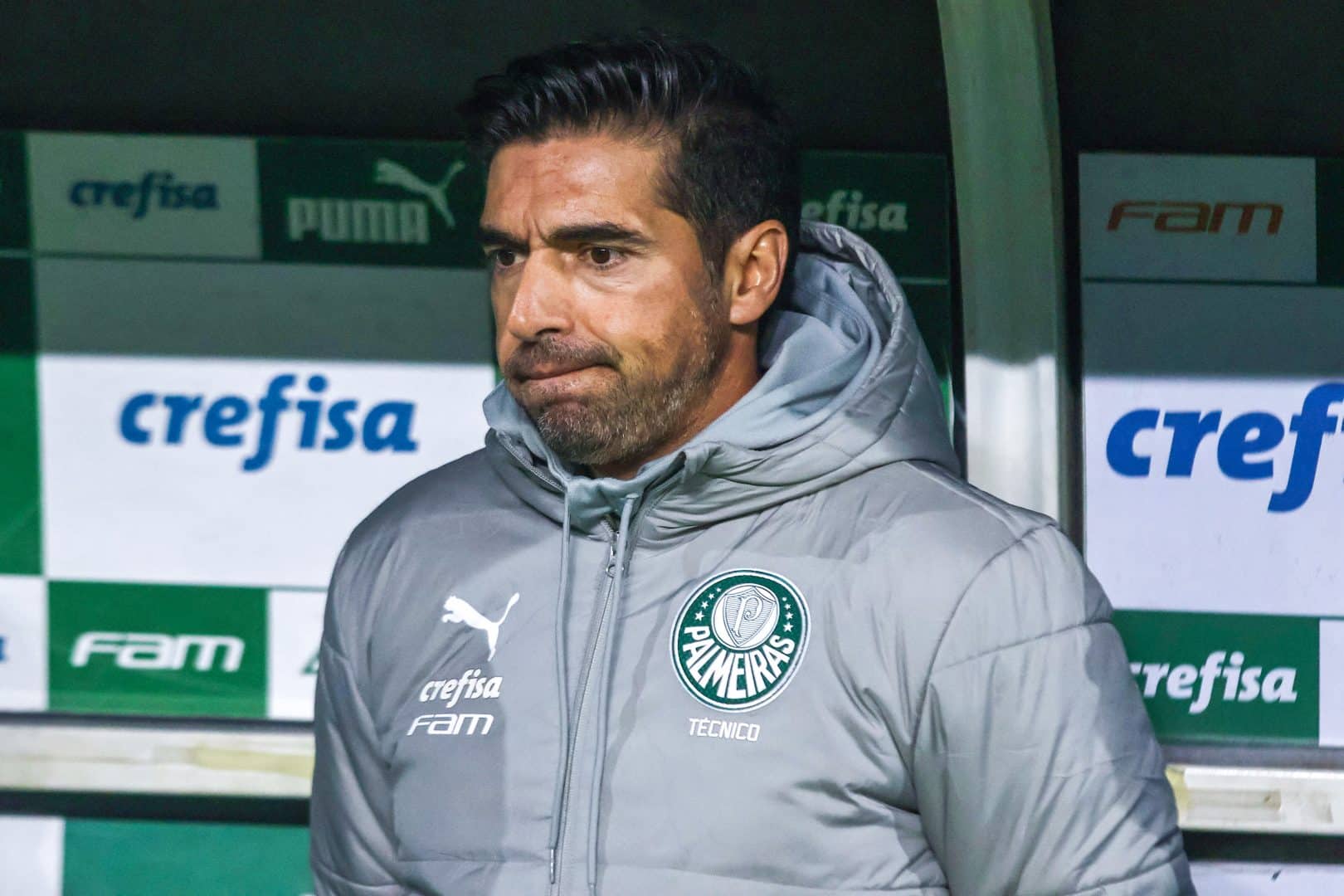 Os números que explicam a baixa grau do Palmeiras