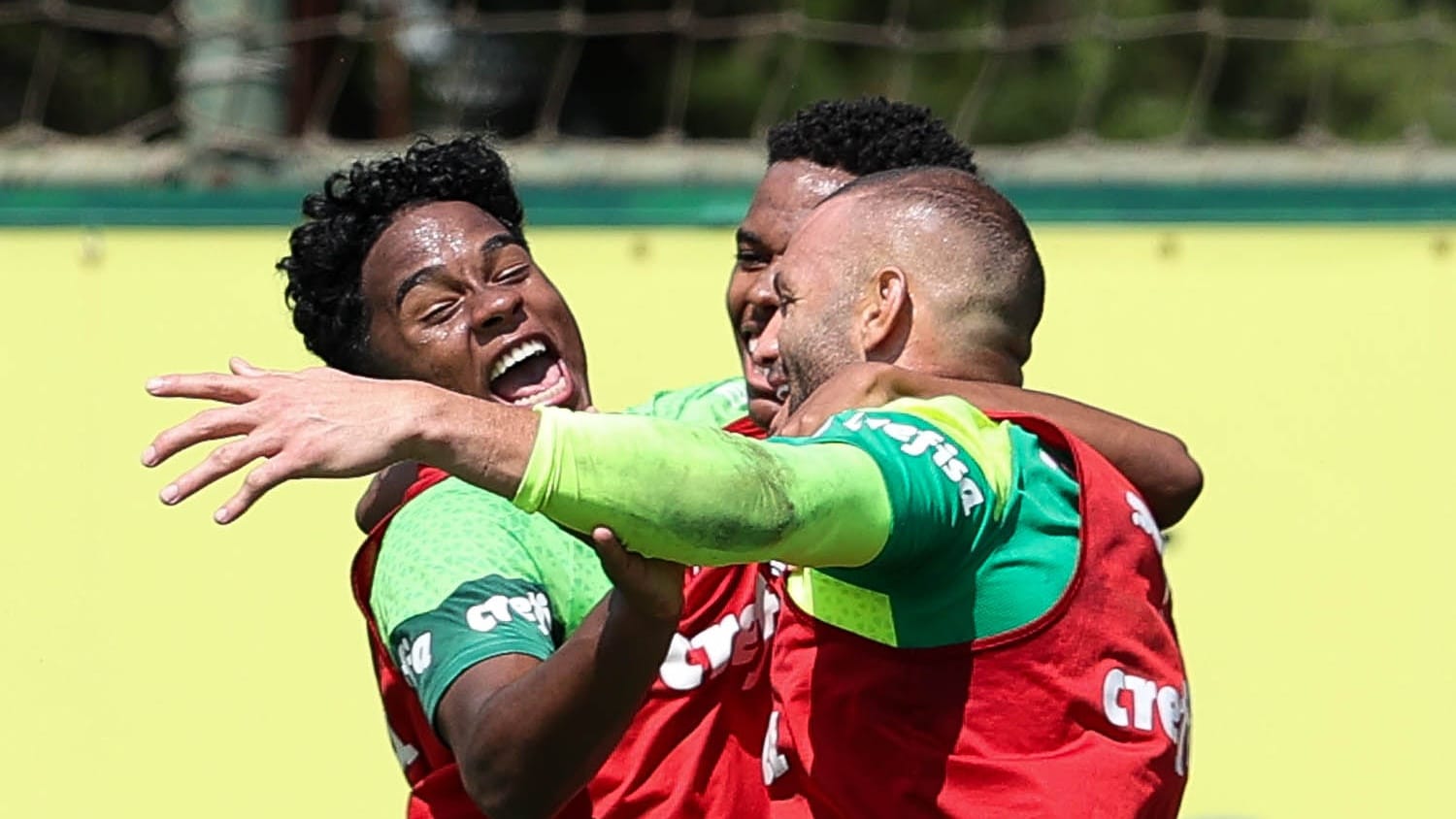 Palmeiras terá jogo-treino em objectivo de semana de descontinuação do Campeonato Brasílico