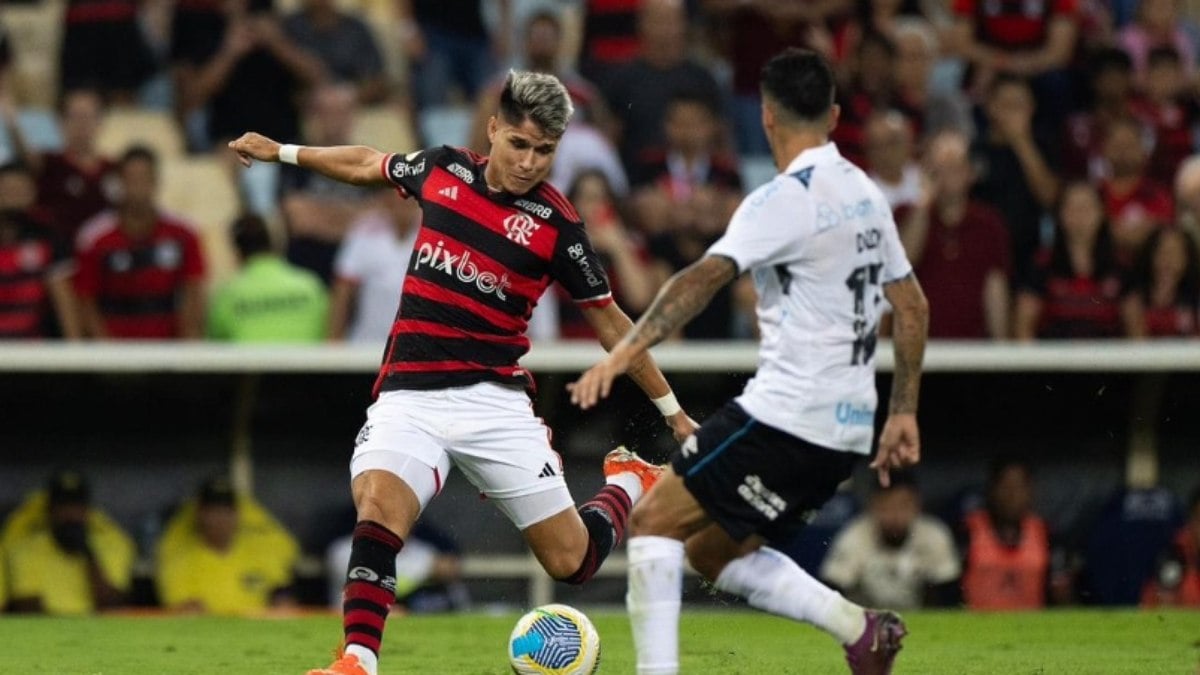 Flamengo vence o Grêmio e retoma a liderança do Brasileirão