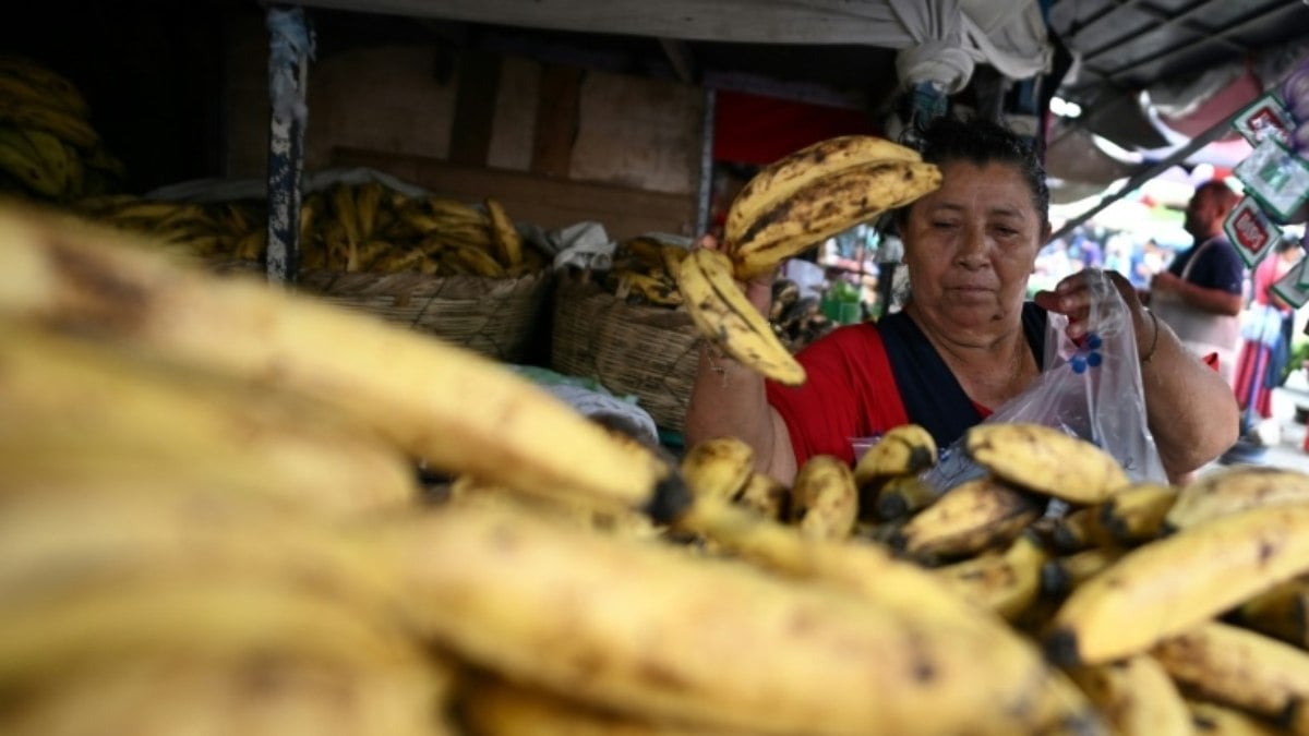 Reativação econômica de El Salvador, o recente duelo de Bukele