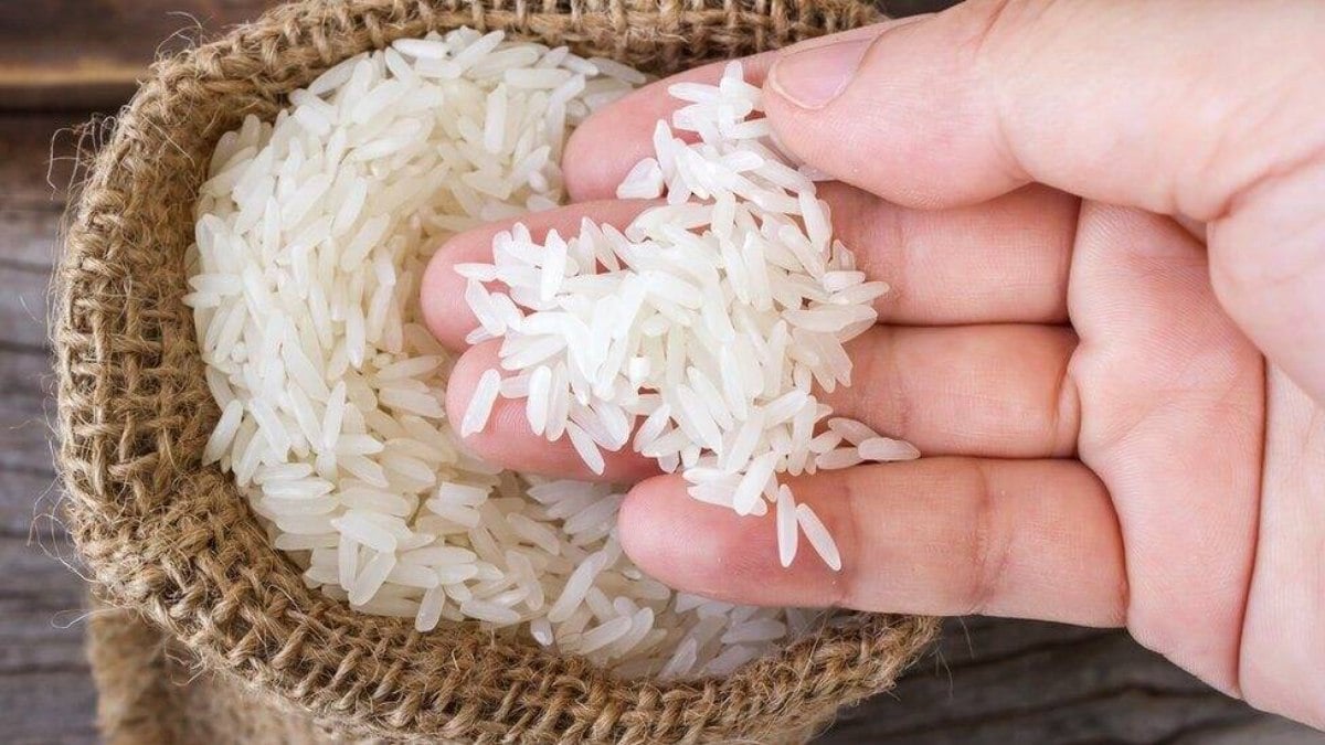 Isenção derruba liminar e leilão de obtenção do arroz está nutrido