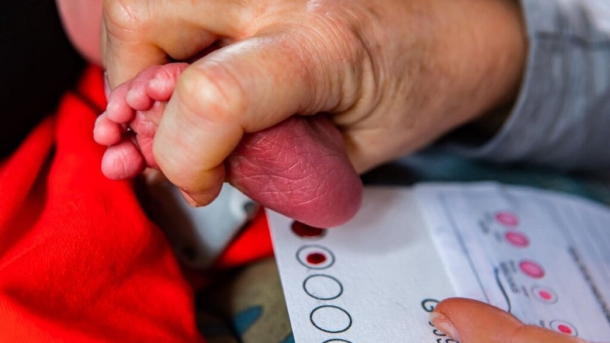 Veja a preço do teste do pezinho para a saúde do bebê