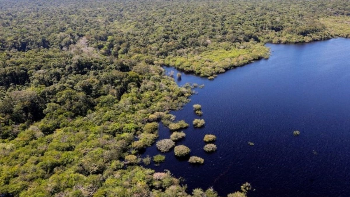 Brasil ficará inabitável em 50 anos? Jamais é isso que diz análise da Nasa; entenda