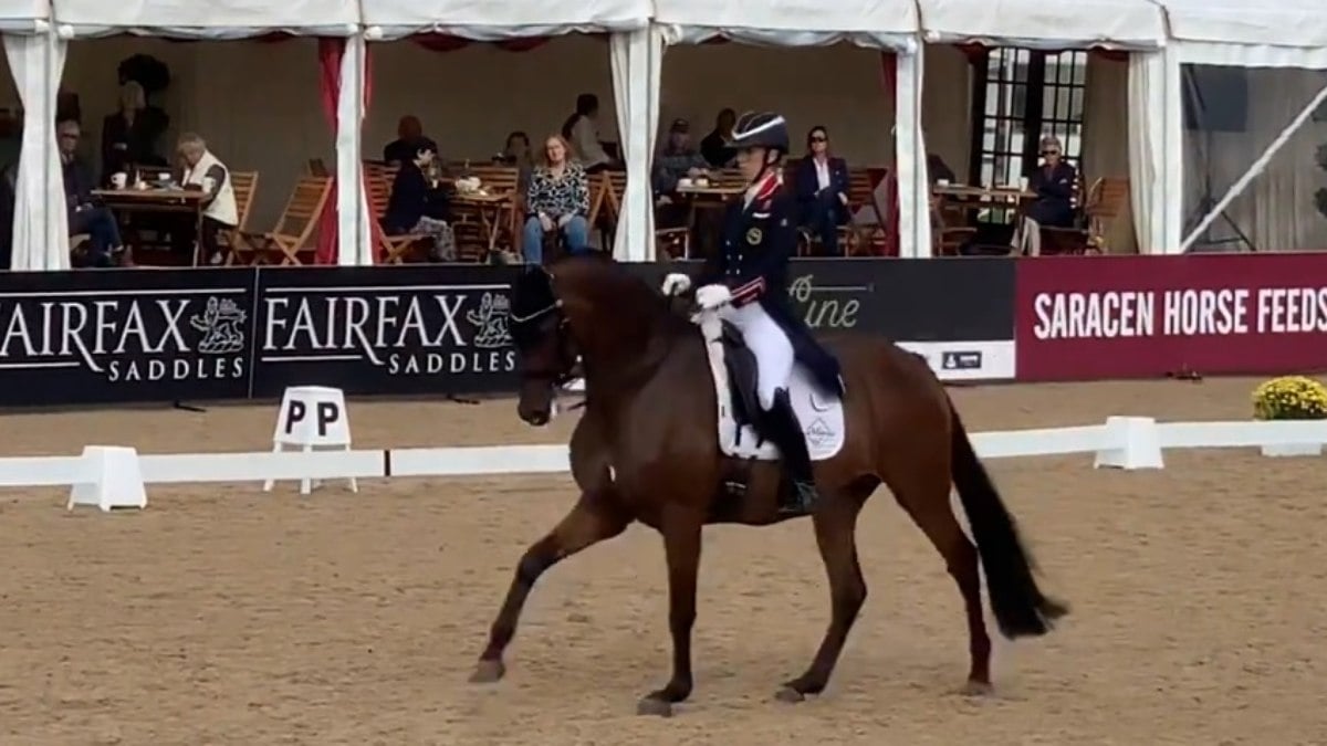 Tricampeã olímpica desiste de Paris 2024 depois vídeo batendo em cavalo viralizar