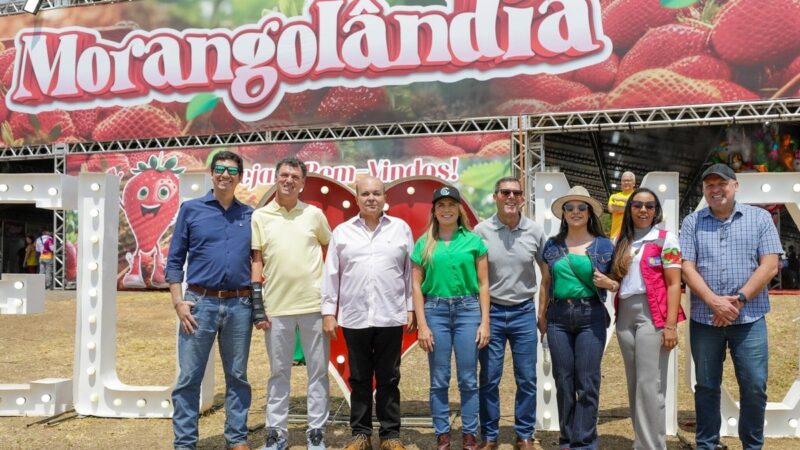 Sarau do Morango movimenta Brazlândia com comercialização de produtos e shows