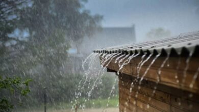 Vanguarda fria que causou chuvas em MG chega em SP nesta fazenda