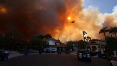 Fogo florestal rudimento temor em subúrbio de Los Angeles