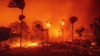 sobe para 7 o algarismo de mortos em incêndios florestais na Califórnia