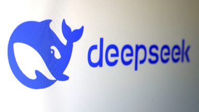 DeepSeek: novas IAs serão mais baratas e mais leves? Entenda