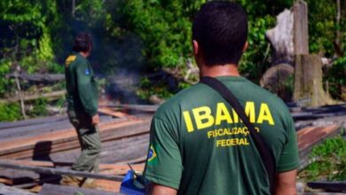 Inscrições para Certame do Ibama com 460 vagas nulo até hoje (18)