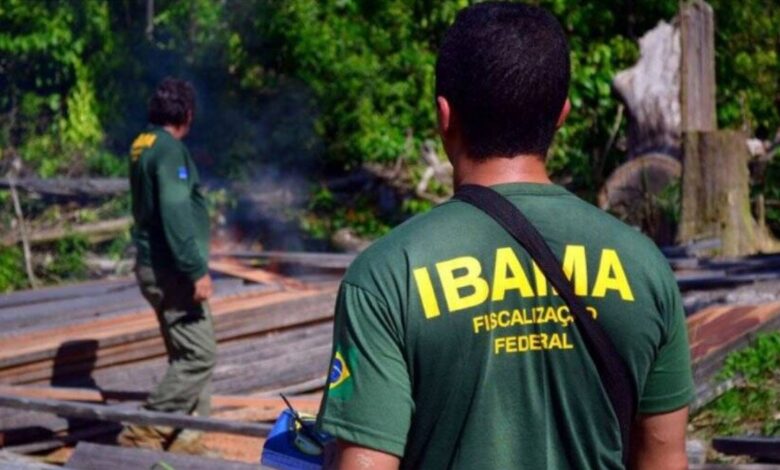 Ibama abre certame com salários de até R$ 9,9 milénio; veja o cartaz