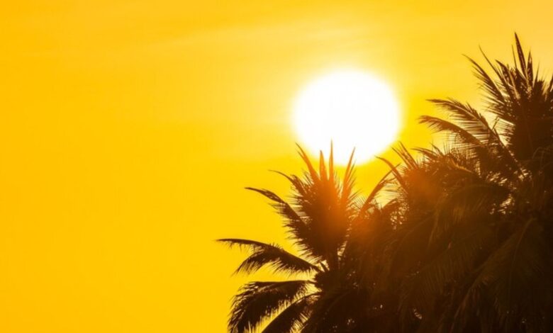 Resguardo Social emite alerta para ardor de 38ºC e água em SP Resguardo Social emite alerta para ardor de 38ºC e água em SP