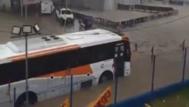 Rio tem horóscopo de água intensa único dia depois vendaval devastador