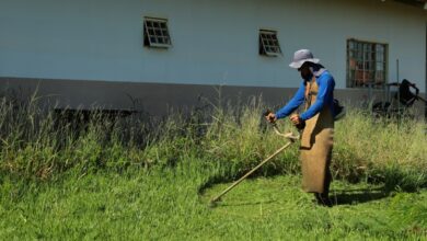 Prefeitura de Aparecida peleja descarte anormal de detrito