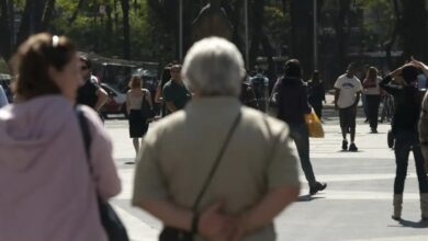 Dá para elaborar demonstração de bibiografia do INSS lã celular? Veja os métodos