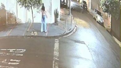 MP denuncia senhora suspeita de envenenar e assassinar 26 gatos no interno de SP
