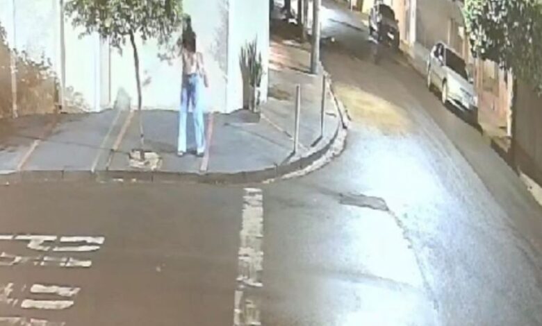 MP denuncia senhora suspeita de envenenar e assassinar 26 gatos no interno de SP MP denuncia senhora suspeita de envenenar e assassinar 26 gatos no interno de SP