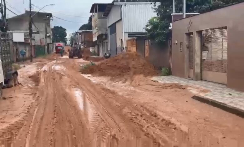 Gestão reconhece aparecimento em 8 cidades de MG em seguida chuvas