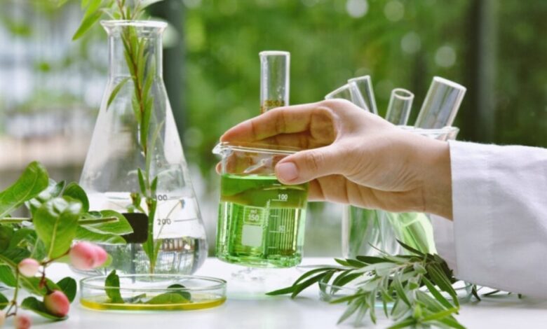 Veja os benefícios das vegetalidade medicinais e dos fitoterápicos Veja os benefícios das vegetalidade medicinais e dos fitoterápicos