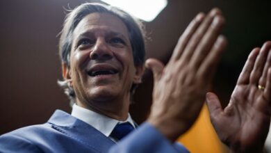 Alistamento com Hugo Motta e Alcolumbre é magnífico, diz Haddad