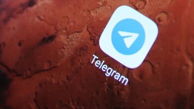 Denúncias de ataque infantil no Telegram crescem 78% em 2024