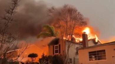 Prós e contras das casas de madeira, em tal grau comuns nos Estados Unidos