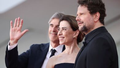 Planta astral: confira os de Fernanda Torres, Selton Mello e Walter Salles