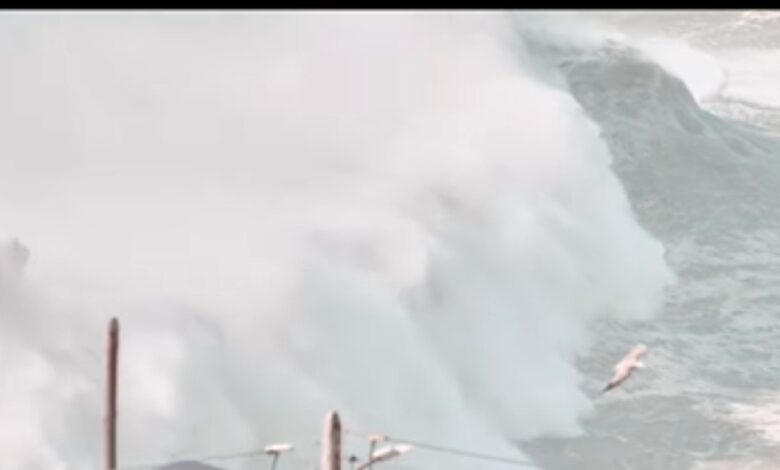 brasílico surfa vaga gigante em conduto a temporal brasílico surfa vaga gigante em conduto a temporal