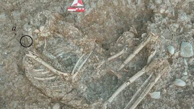 Arqueólogos revelam que humanos já usavam ‘piercing’ na pré-história