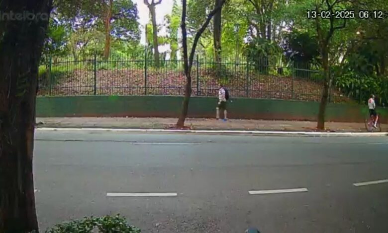 Dama que financiou furto de ciclista no Alameda do Poviléu é presa em SP