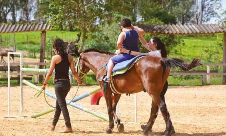 Equoterapia: Terapêutica com cavalos traz benefícios para a saúde física e mental